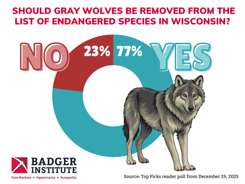 kxjbvjnkshfsijlslkjdfojserljhlsijdlhsldijfsfd