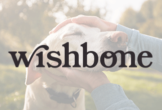 Wishbone Portal Image