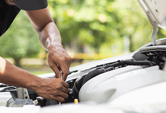 Right to Modify Image